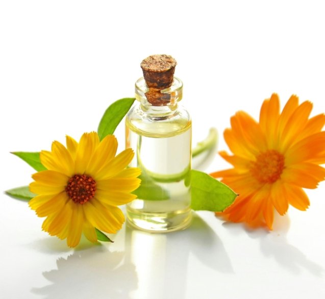 A glass bottle of aromatic oil with chamomile flowers on a white background.